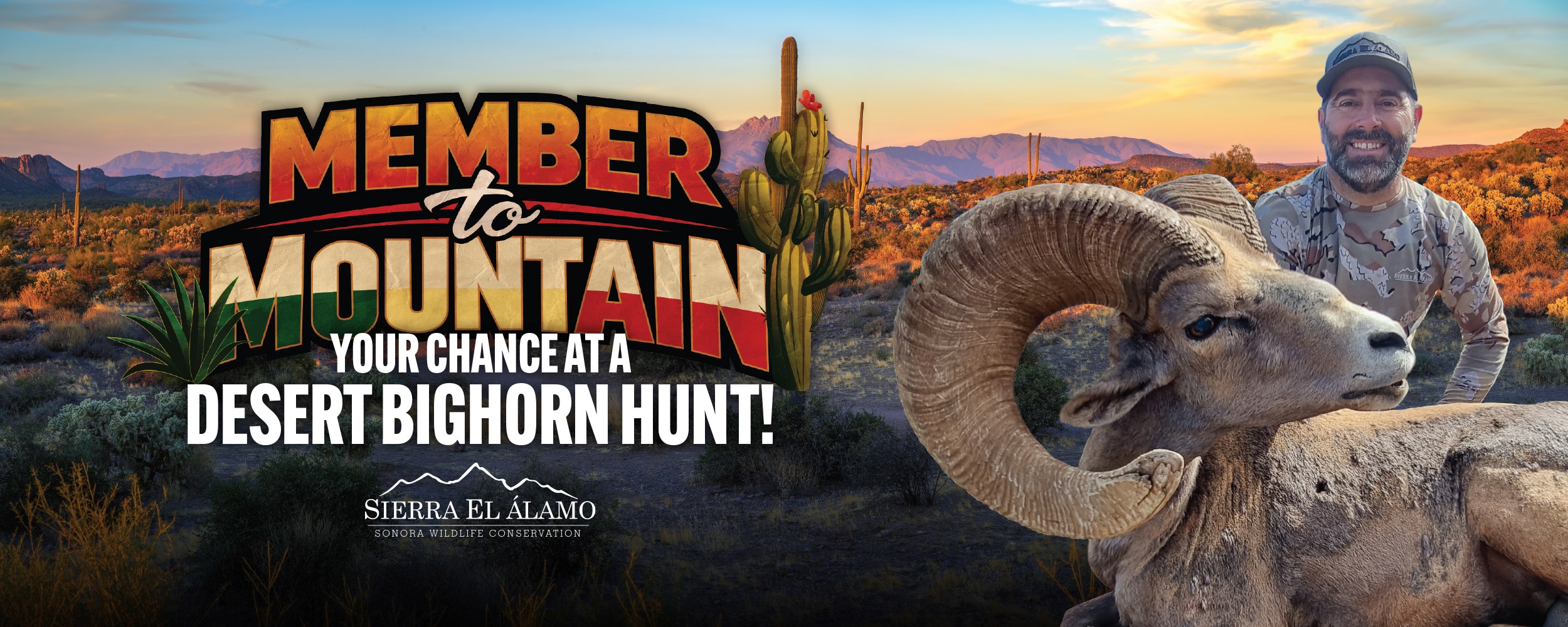 Win a Desert Sheep Hunt with Sierra El Alamo